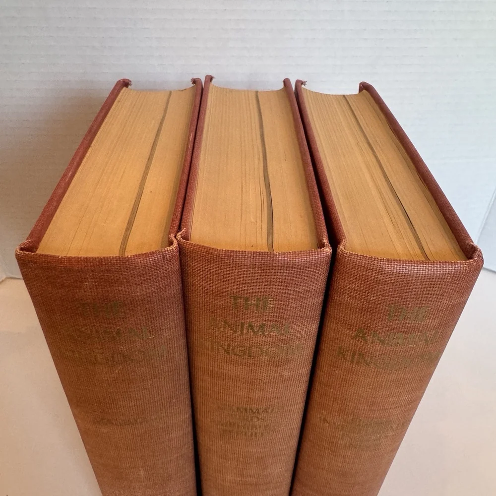Vtg 1954 The Animal Kingdom 3 Vol Set Natural History Mid Century RedCloth Books